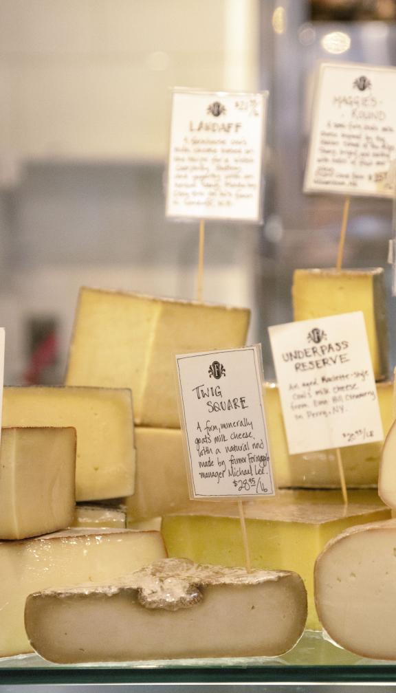 Samples of gourmet cheeses on display