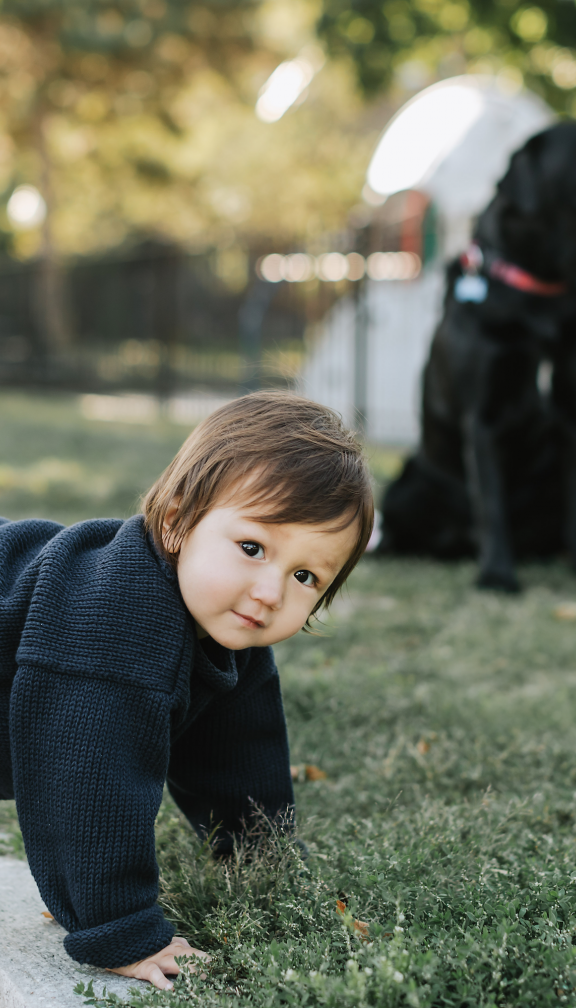 woman, dog, and baby sit in park